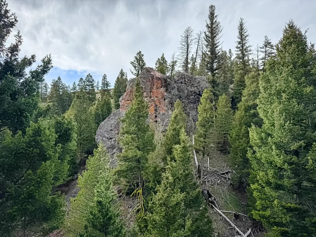 Nhn Hoover Creek Road Helmville MT 59843