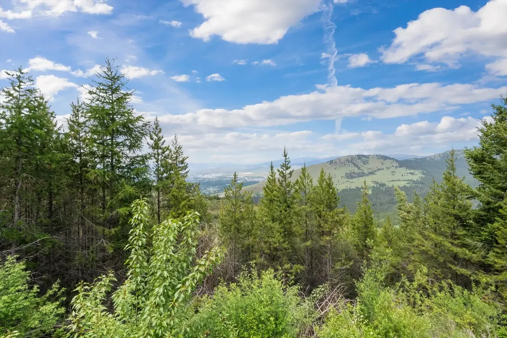 2199 Larch Camp Road Missoula MT 59803