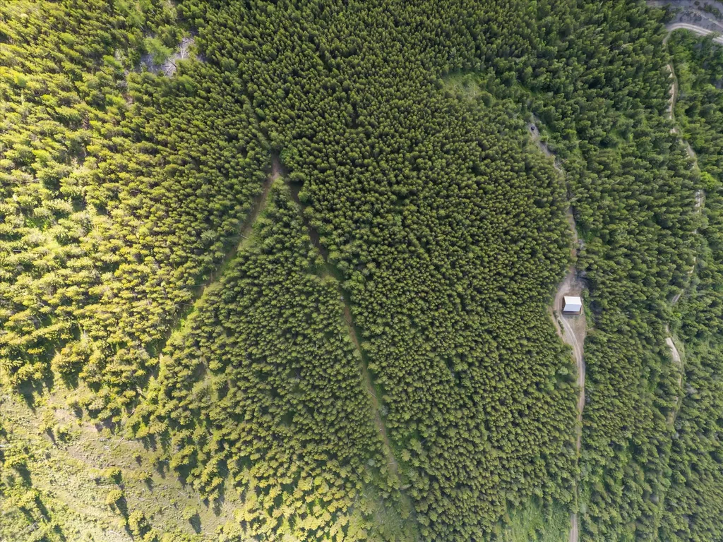 2199 Larch Camp Road Missoula MT 59803