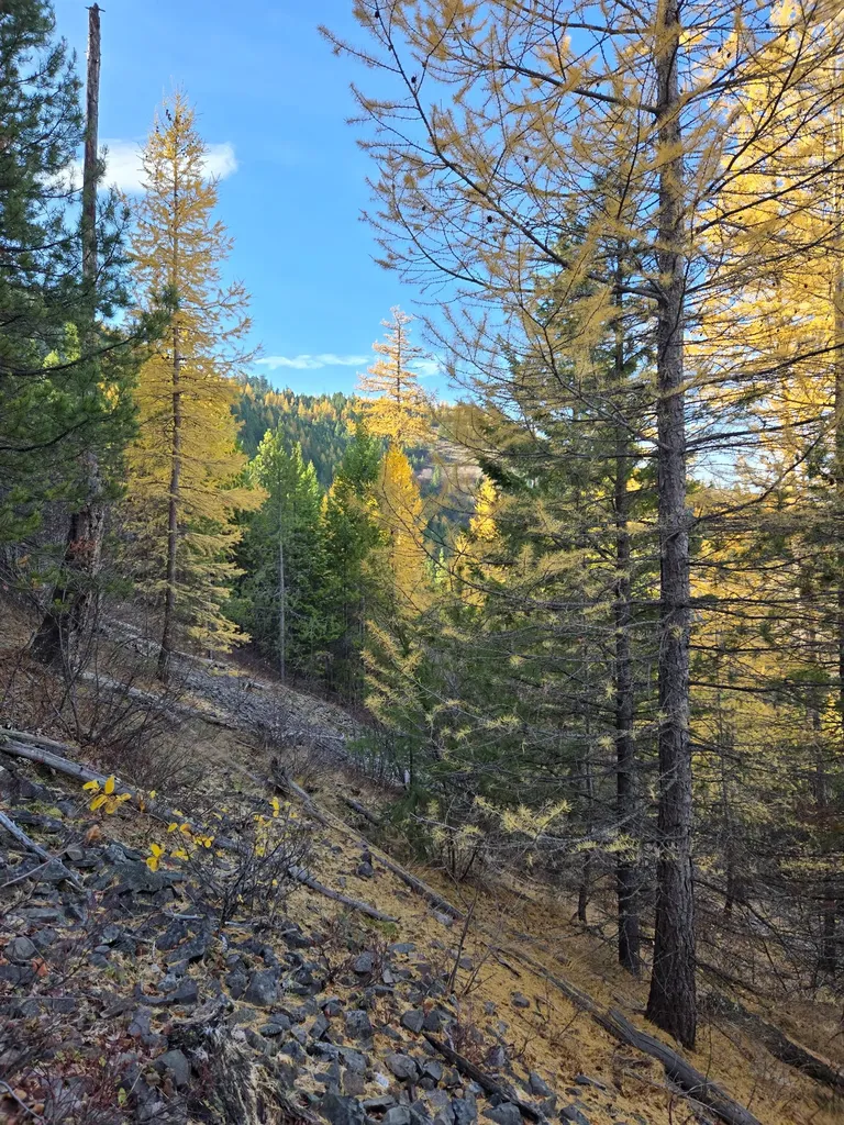 2199 Larch Camp Road Missoula MT 59803
