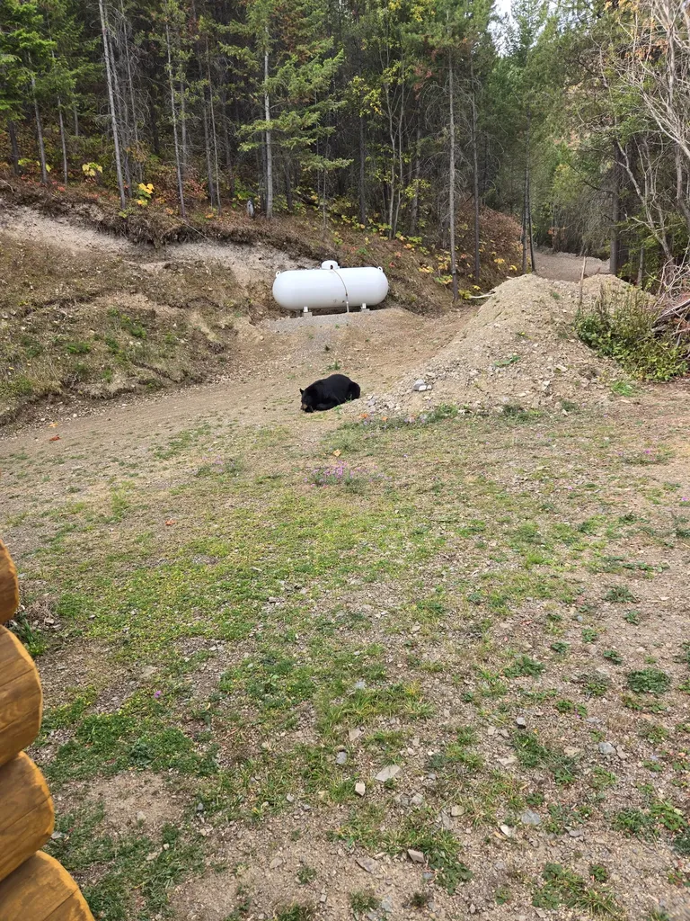2199 Larch Camp Road Missoula MT 59803