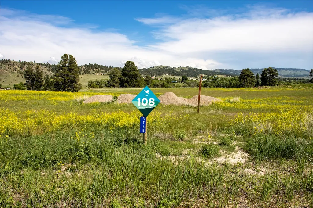 3765 Wolfwillow Court Helena MT 59602