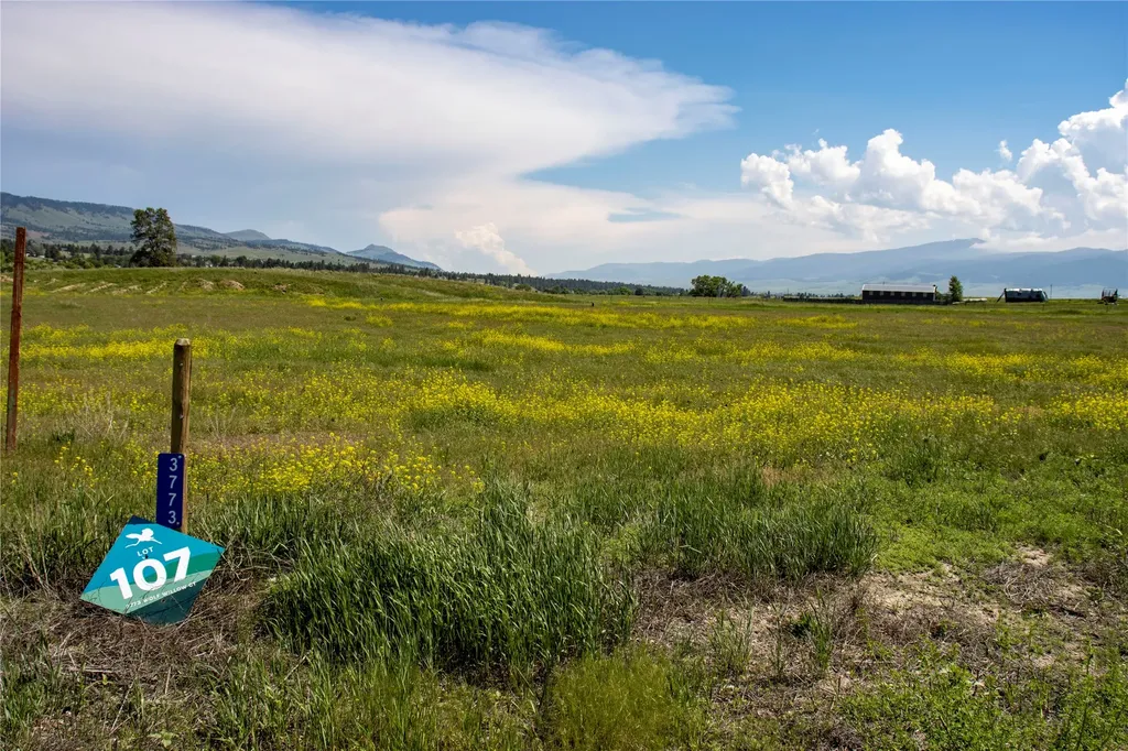 3773 Wolfwillow Court Helena MT 59602