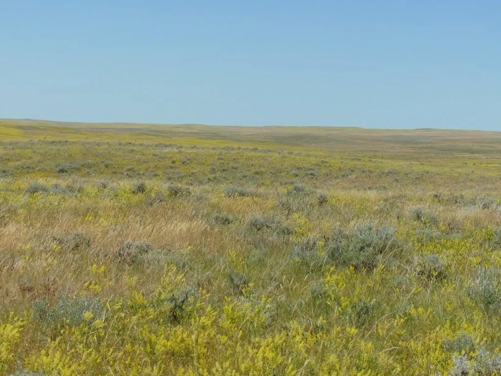 80 Wilder Trail Lewistown MT 59457