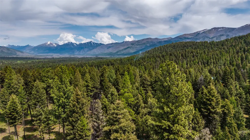 317 Montana Drive Seeley Lake MT 59868