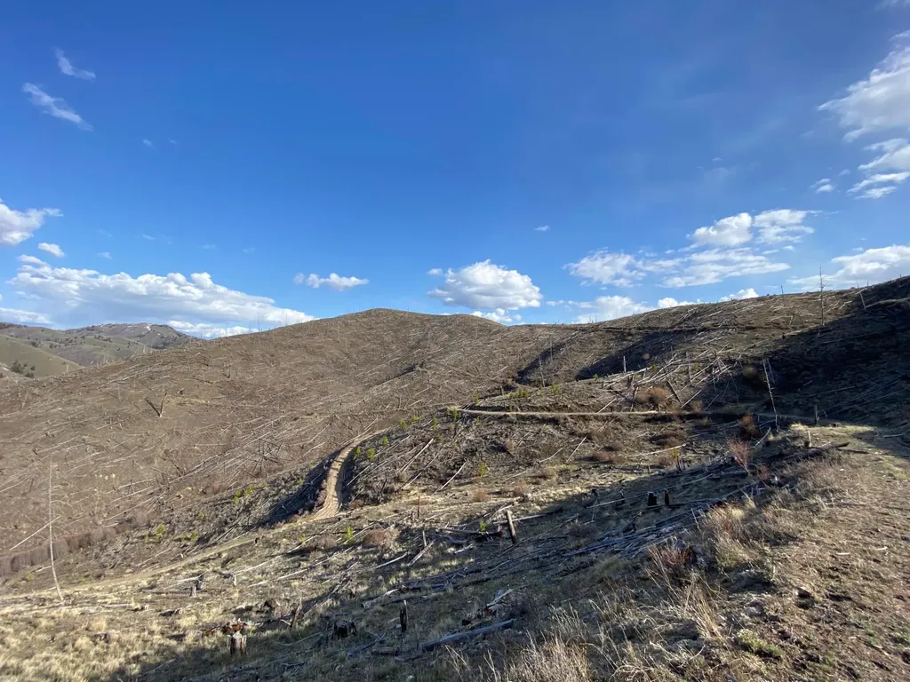 -- Hwy 93 S Conner MT 59827
