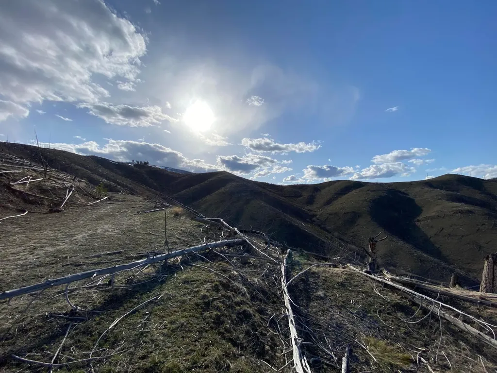 -- Hwy 93 S Conner MT 59827