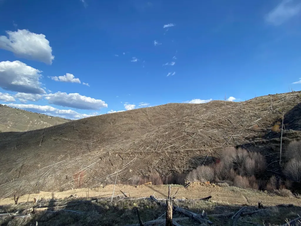 -- Hwy 93 S Conner MT 59827