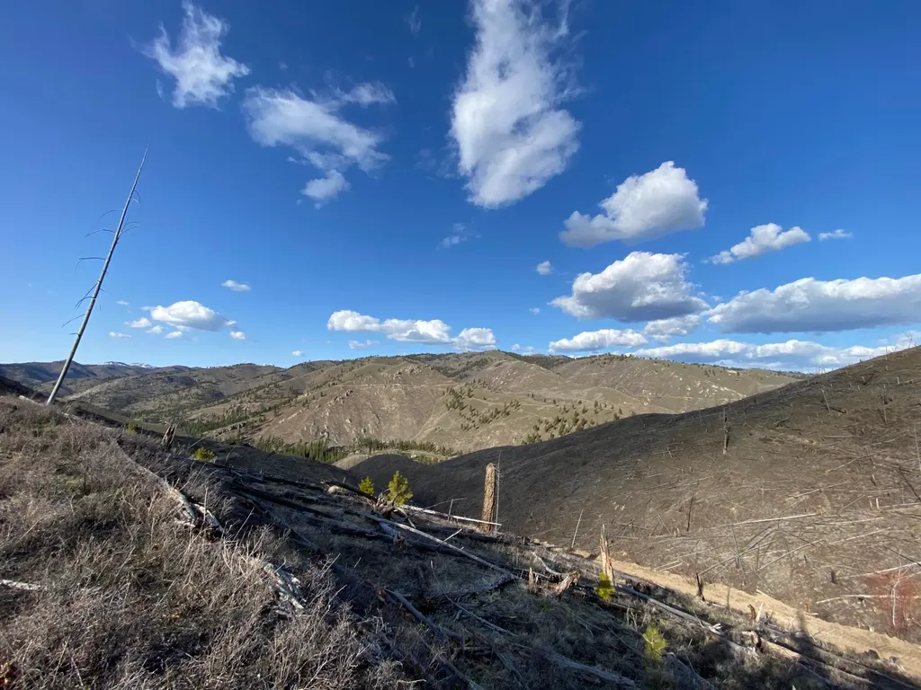 -- Hwy 93 S Conner MT 59827