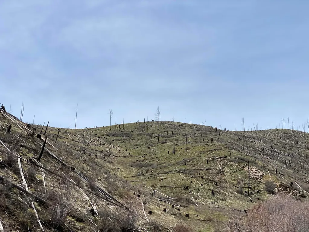-- Hwy 93 S Conner MT 59827