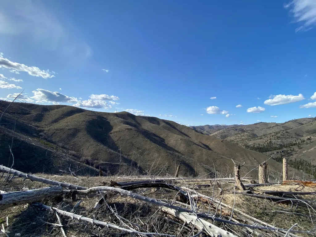 -- Hwy 93 S Conner MT 59827