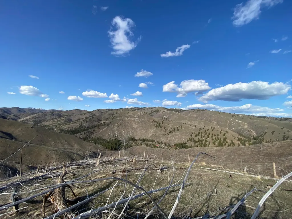 -- Hwy 93 S Conner MT 59827