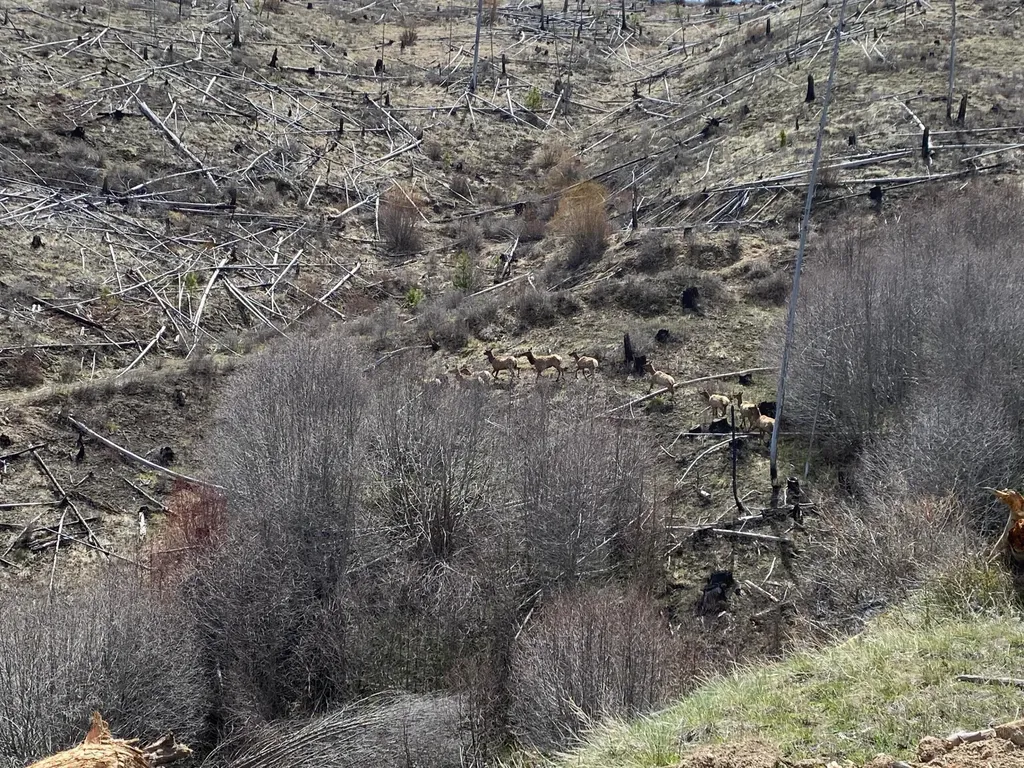-- Hwy 93 S Conner MT 59827