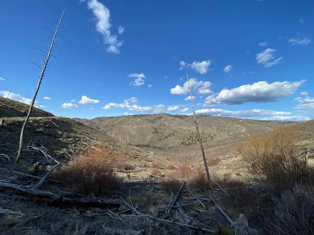 -- Hwy 93 S Conner MT 59827
