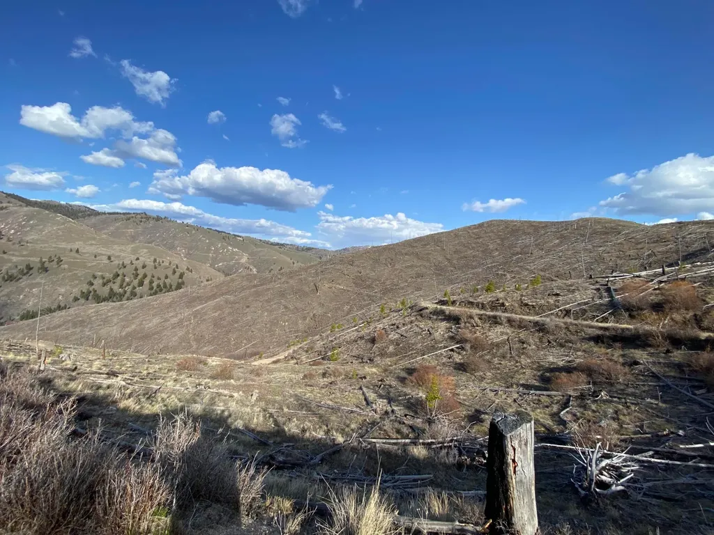 -- Hwy 93 S Conner MT 59827