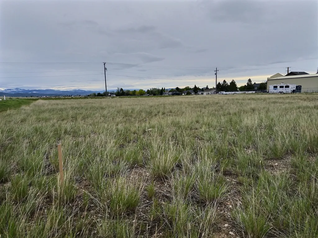 7925 Avocet Drive Helena MT 59602