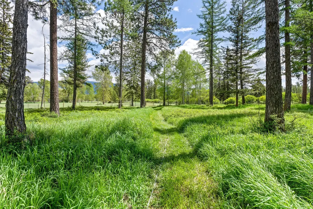 985 Jellison Road Columbia Falls MT 59912
