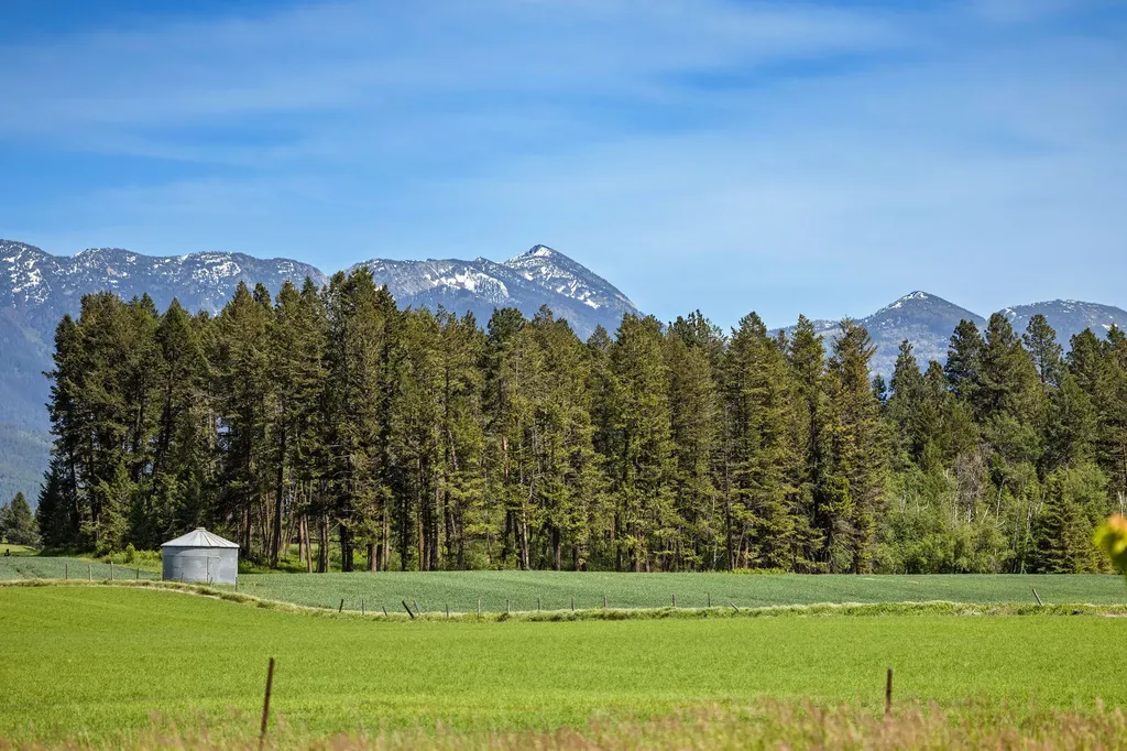 475 Mcwenneger Drive Kalispell MT 59901