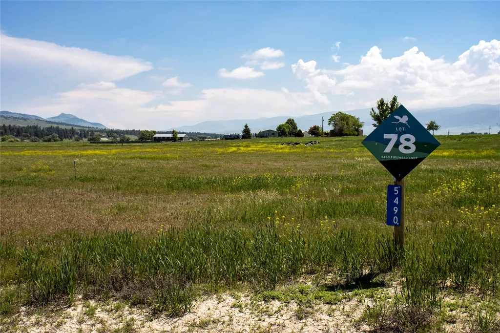 5490 Fireweed Loop Helena MT 59602