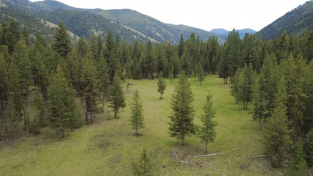 Tract A West Meadow Road Darby MT 59829