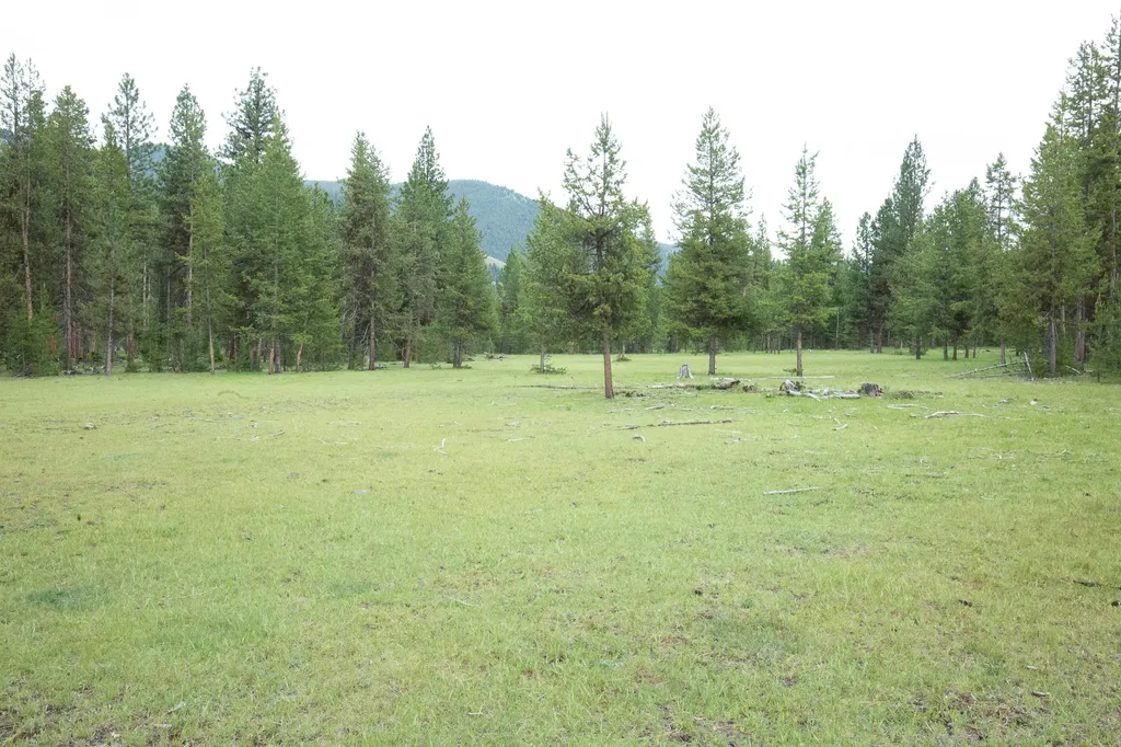 Tract A West Meadow Road Darby MT 59829