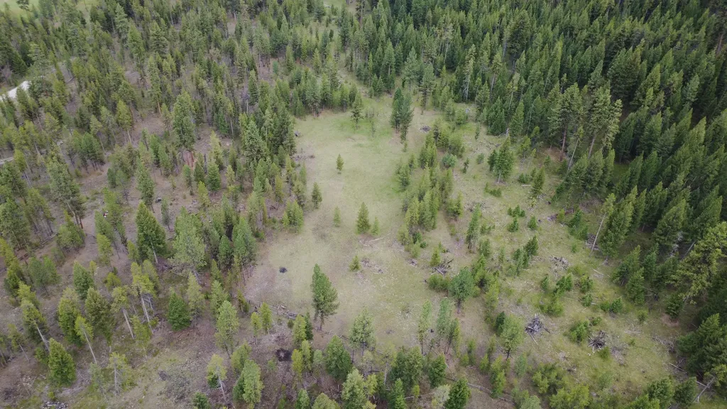 Tract A West Meadow Road Darby MT 59829