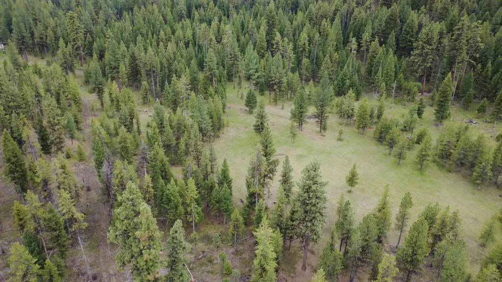 Tract A West Meadow Road Darby MT 59829