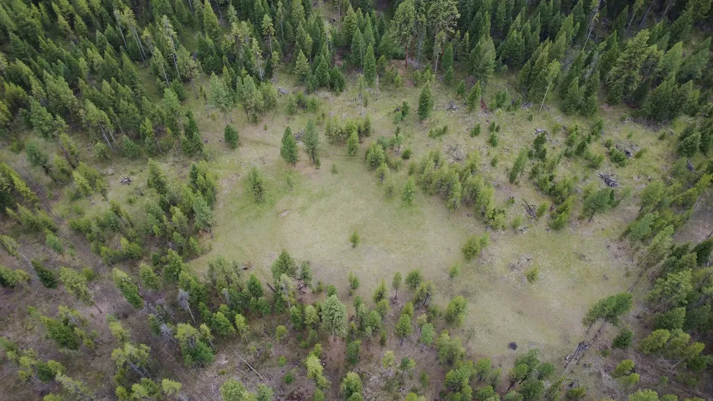 Tract A West Meadow Road Darby MT 59829