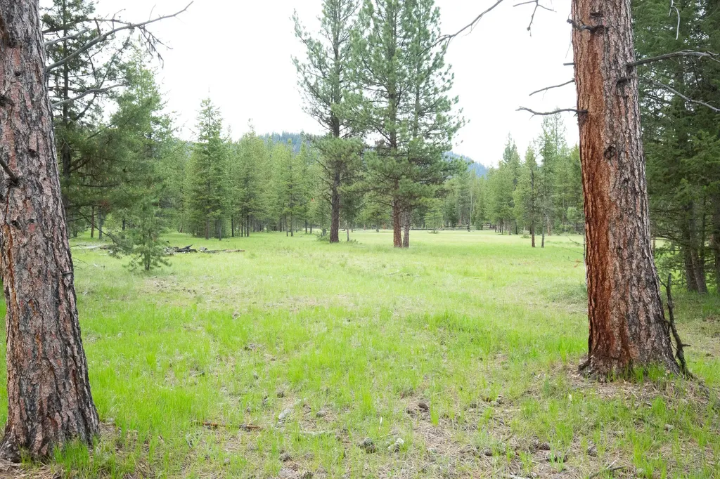 Tract A West Meadow Road Darby MT 59829