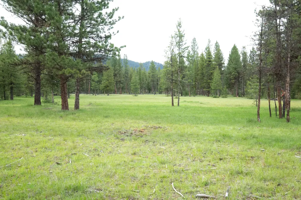 Tract A West Meadow Road Darby MT 59829