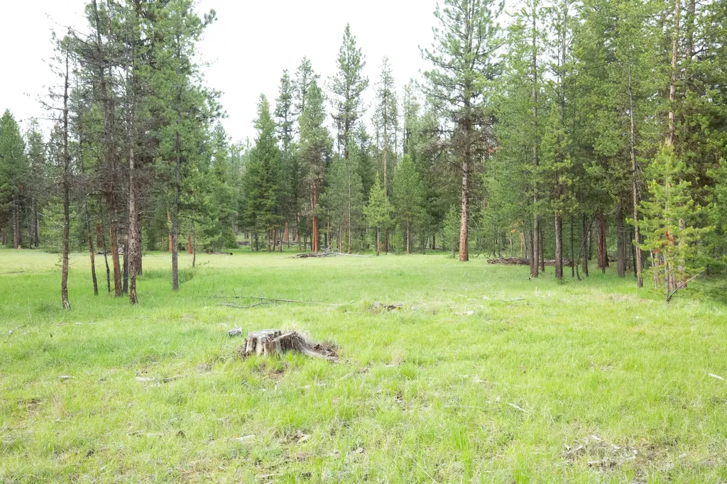 Tract A West Meadow Road Darby MT 59829