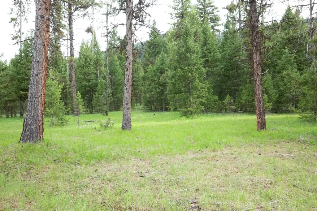 Tract A West Meadow Road Darby MT 59829
