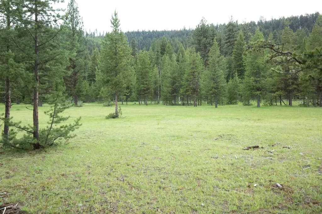 Tract A West Meadow Road Darby MT 59829
