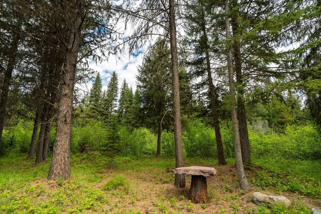 58 Loon Connector Road Libby MT 59923