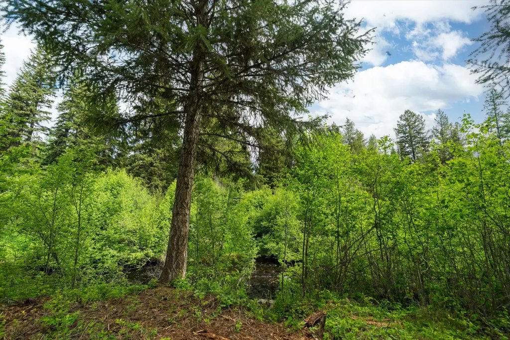 58 Loon Connector Road Libby MT 59923