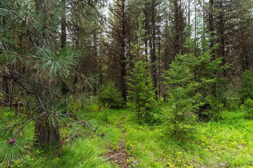 58 Loon Connector Road Libby MT 59923