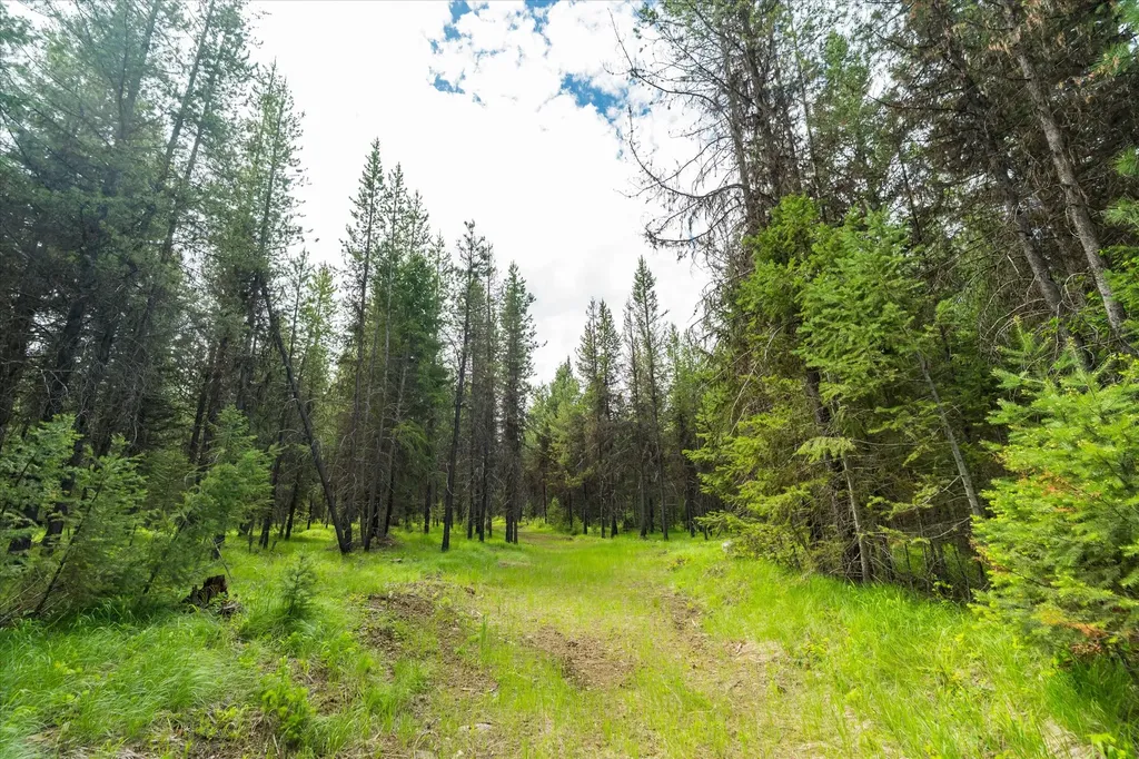 58 Loon Connector Road Libby MT 59923