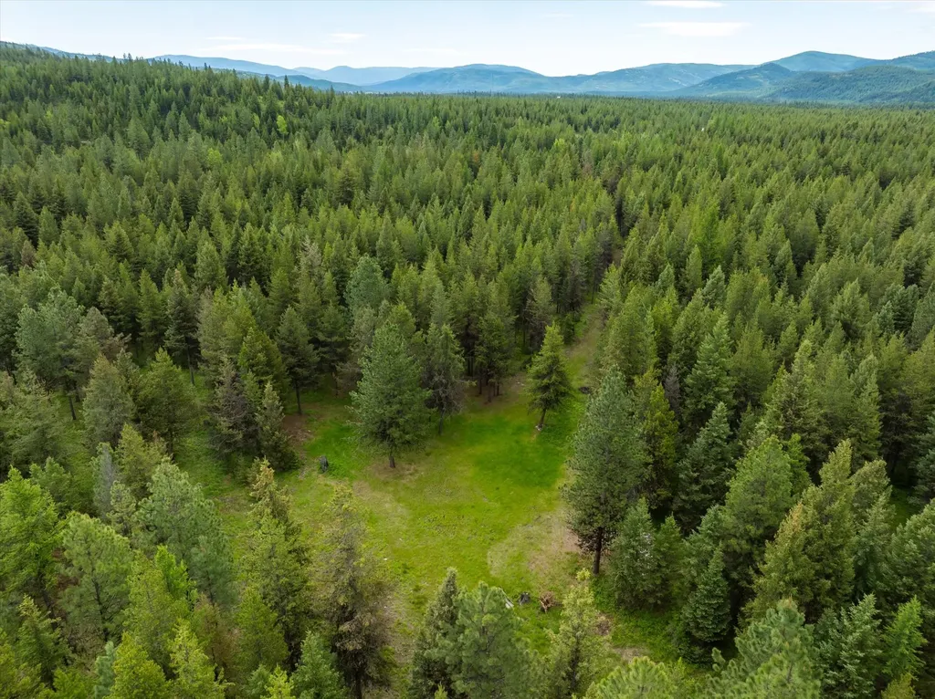 58 Loon Connector Road Libby MT 59923