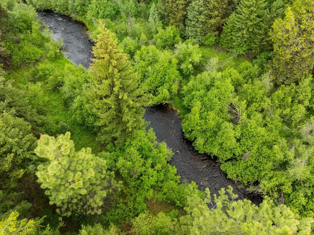 58 Loon Connector Road Libby MT 59923