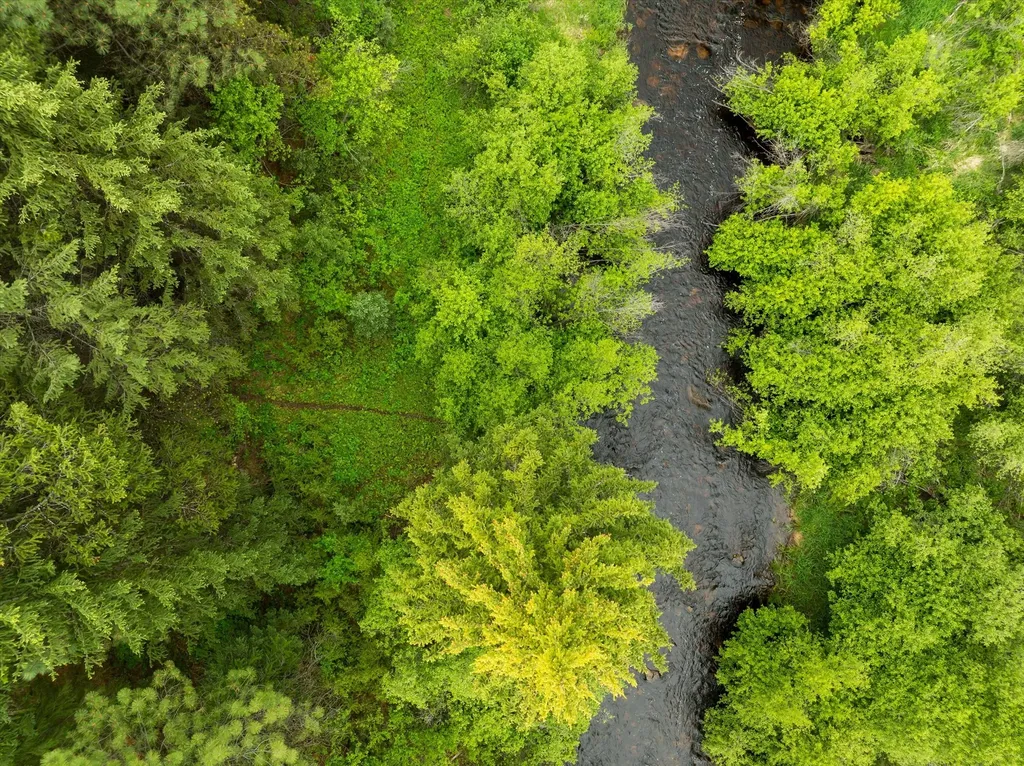 58 Loon Connector Road Libby MT 59923