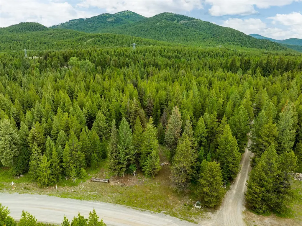58 Loon Connector Road Libby MT 59923