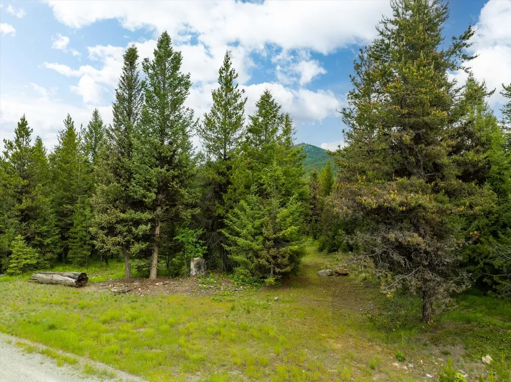 58 Loon Connector Road Libby MT 59923