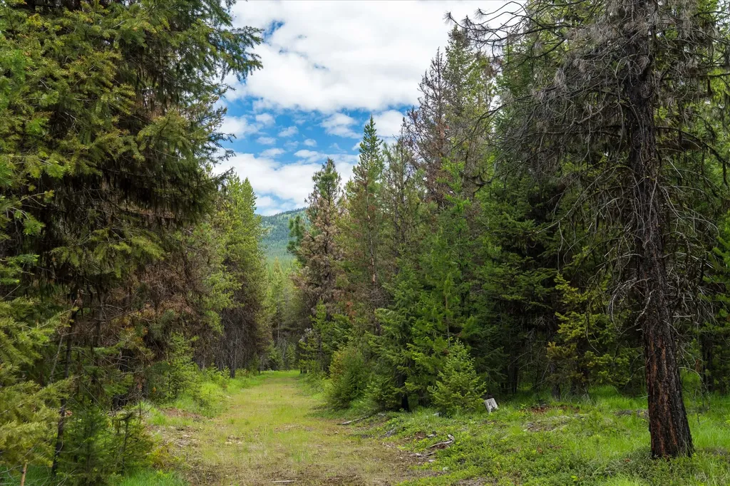 58 Loon Connector Road Libby MT 59923