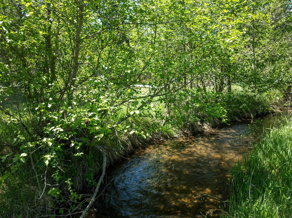 Tbd Clancy Creek Road Clancy MT 59634