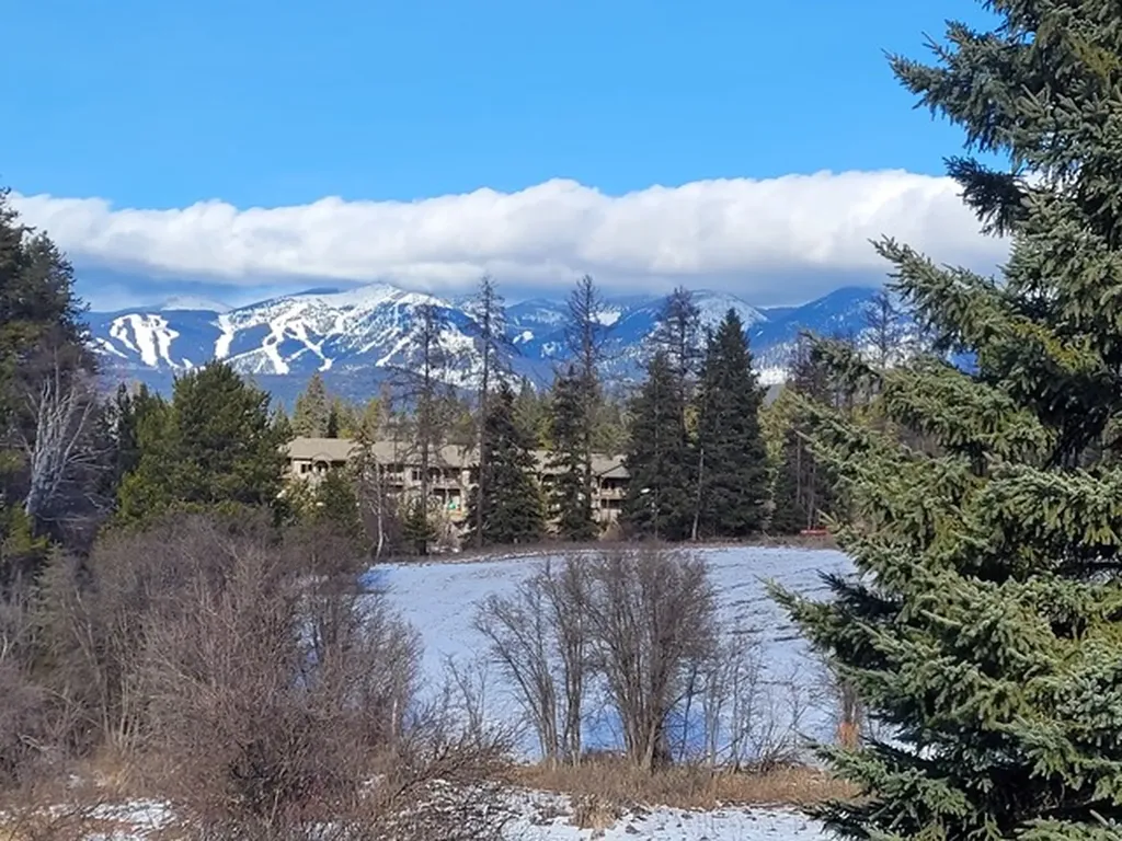 157 Arielle Way Whitefish MT 59937