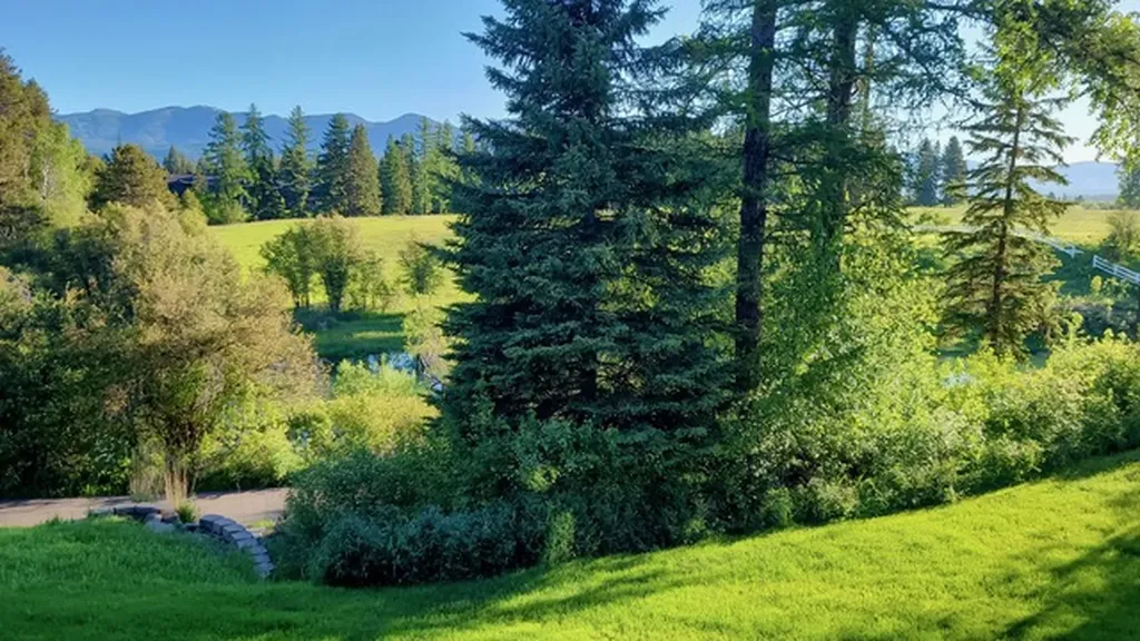 157 Arielle Way Whitefish MT 59937