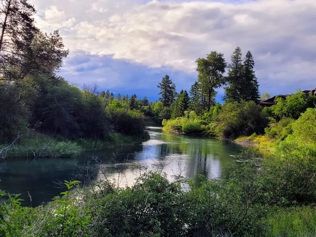 157 Arielle Way Whitefish MT 59937