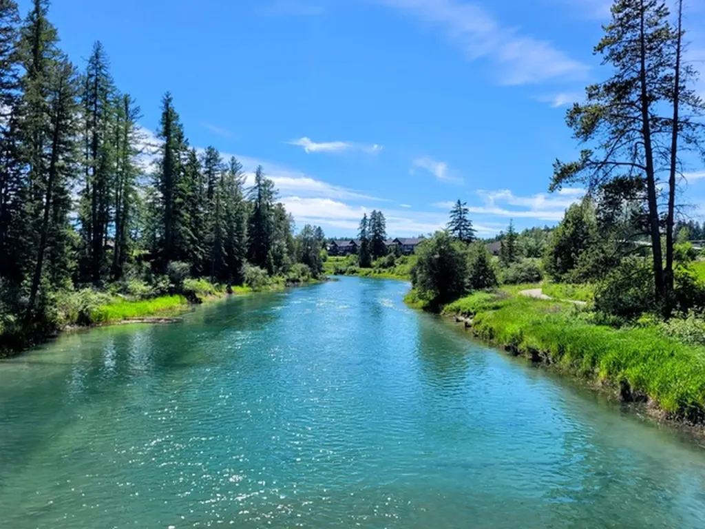 157 Arielle Way Whitefish MT 59937