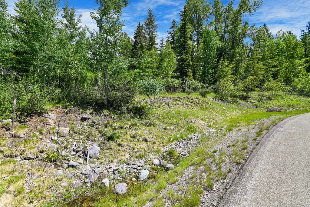 265 N Shooting Star Circle Whitefish MT 59937