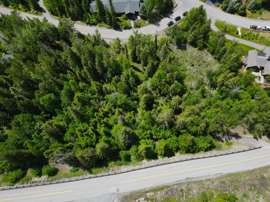 265 N Shooting Star Circle Whitefish MT 59937